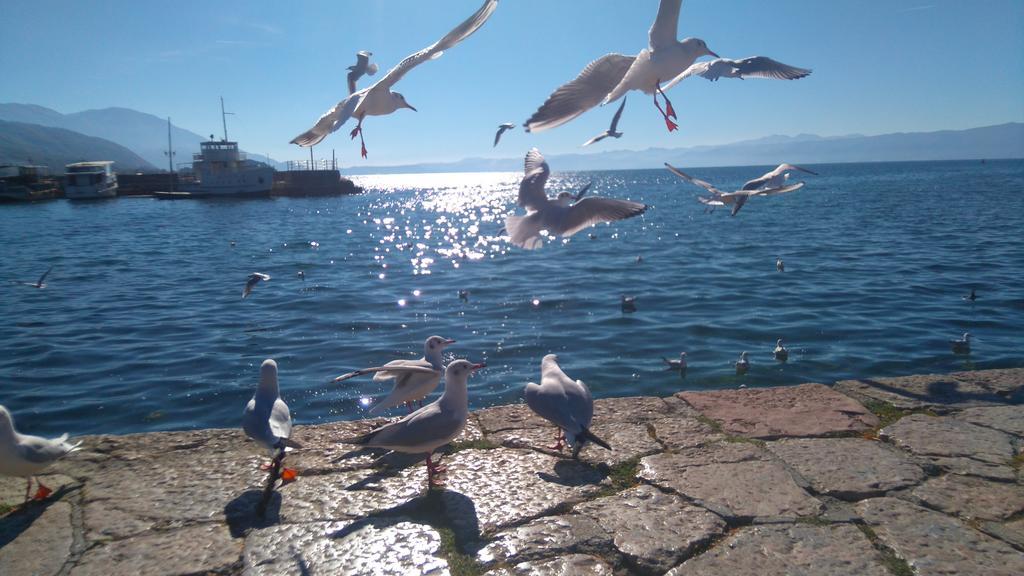 'By The Lake' Apartments Ohrid Buitenkant foto